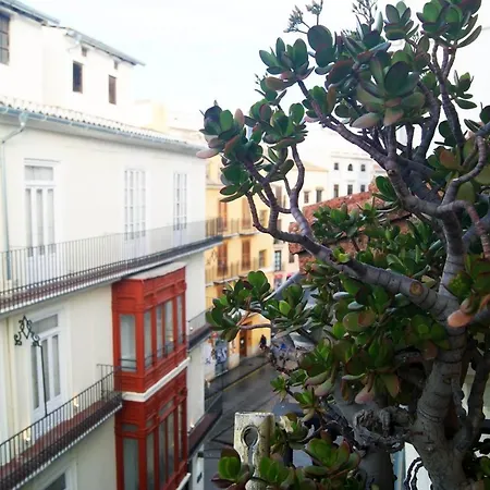 Vlc - Preciosos En El Carmen